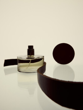  Levitum
